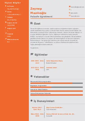 Felsefe Öğretmeni CV Örnekleri cv indir